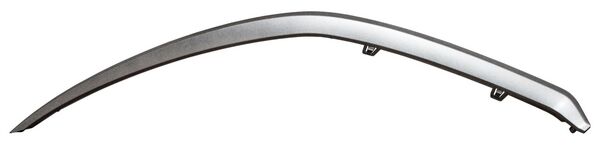 MOLDURA DEFENSA DEL FORTE 22-24 PLATA IZQ