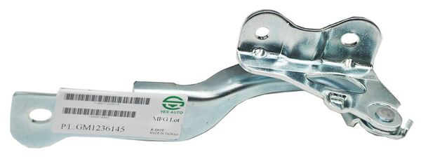 BISAGRA COFRE AVEO 08-17/ PONTIAC G3 09-11 DER