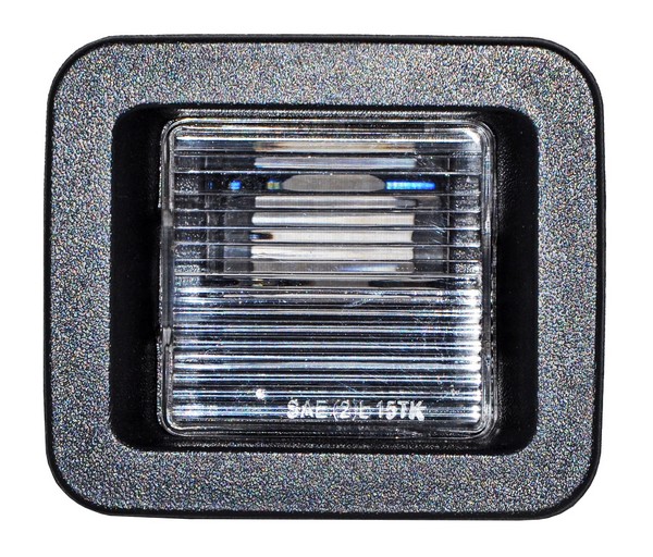 LUZ DE PLACA FORD PU 18-20 627