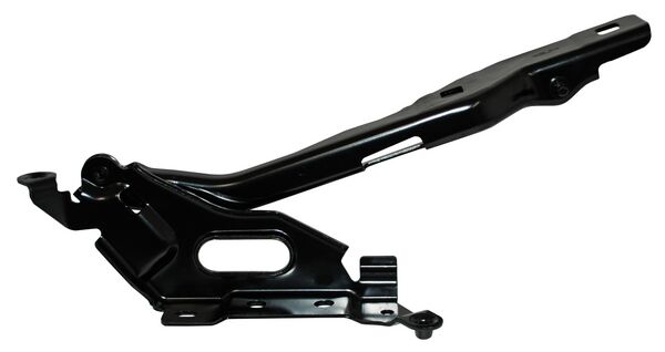 BISAGRA COFRE FORD PU 15-20 DER